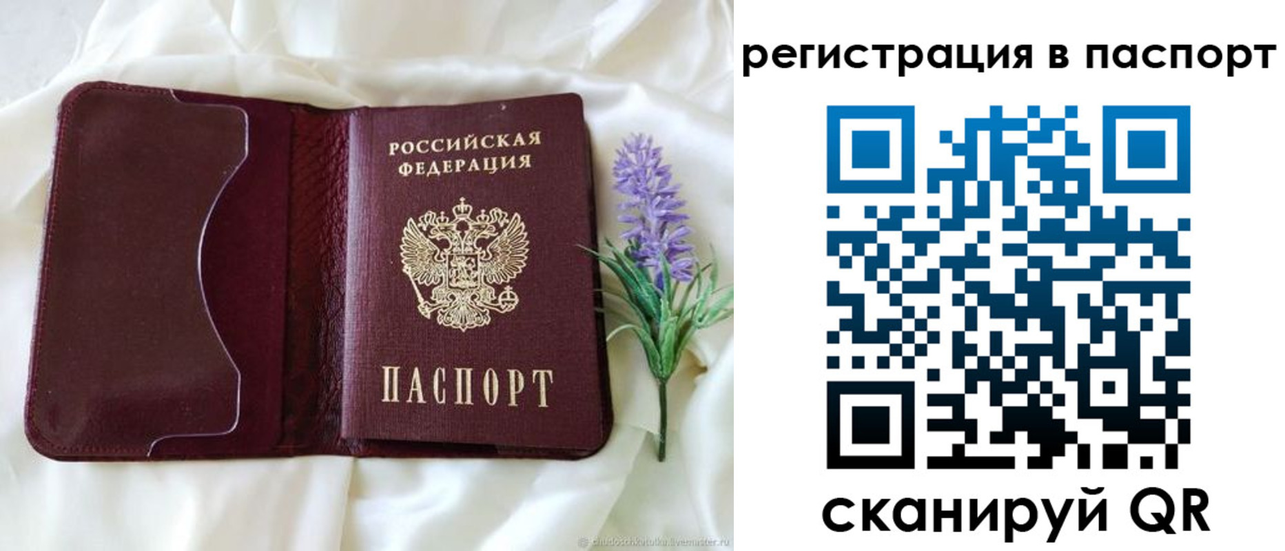 временная регистрация для всех в Могочи